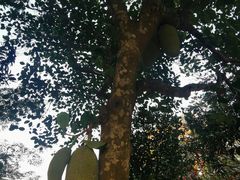 -侯臣咖啡文化村