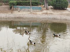 -丰台科技园生态主题公园