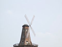 -大塘金香草谷