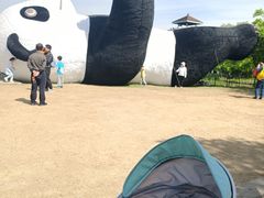 -苏州太湖国家湿地公园