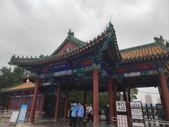 -莲花池公园