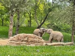 -北京野生动物园