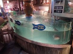 -坛宗剁椒鱼头(河西王府井店)