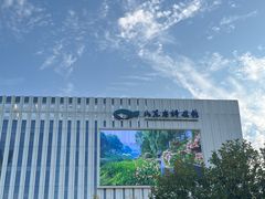 -山东省科技馆(新馆)