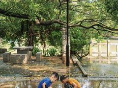 -小洲村