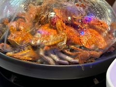 -半岛听涛蒸汽海鲜自助(K11店)