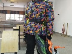 -多乐美地滑雪场