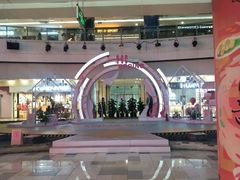 -鹏欣水游城