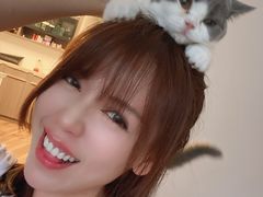 -糯米喵星人总部直营旗舰店·猫舍·幼猫出售
