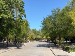-杨柳青庄园