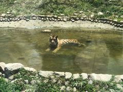 -西安秦岭野生动物园