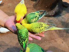 -正佳雨林生态植物园