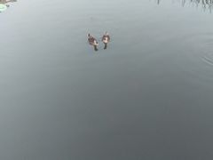 -前关湿地公园
