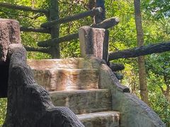 -石台牯牛降景区