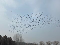 -沈阳森林动物园