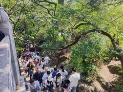 -灵岩山风景区
