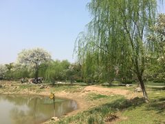 -堤角公园