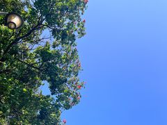 -深圳湾公园(南山区)