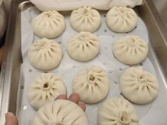 -田螺阿姨自营月嫂·育儿嫂(高新店)