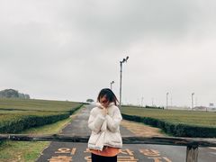 -雪绿茶博物馆