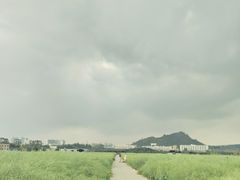 -光明小镇欢乐田园