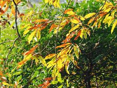 -敬亭山风景名胜区