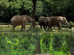 -常州淹城野生动物世界