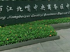 -重庆市江北嘴中央商务区中央公园