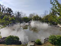 -上海滨江森林公园