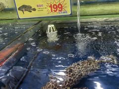 -东江海鲜酒家(艺都分店)
