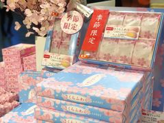 -TIAT DUTY FREE SHOP NORTH(羽田机场店)
