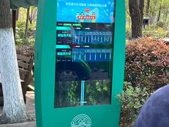 -合肥滨湖国家森林公园