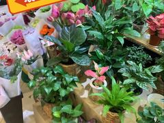 -居然之家家居生活MALL(丽泽店)
