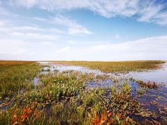 -青海湖国家重点风景名胜区