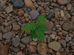 -楠溪江风景名胜区