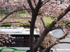 -上海南浦大桥长途旅游客运站