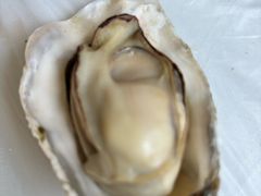 -宾朋海鲜饭庄(兴海路店)