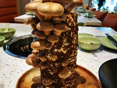 -椰子营·椰子鸡火锅(万象里店)