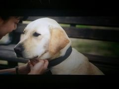 -星河国际影城(新会店)