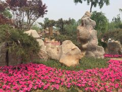 -武清南湖绿博园