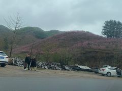 -河口景区