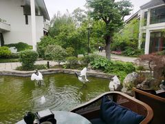 -广富林宰相府酒店·水云间