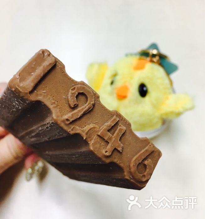 中街1946(新邻生活广场店)比利时大黑图片 - 第254张
