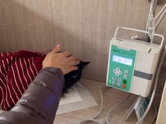 -北京观赏动物医院·24小时大型综合·猫专科·异宠专科