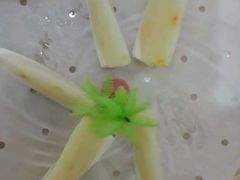 -琼菜王(南海店)