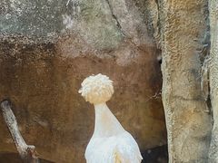 -长鹿旅游休博园