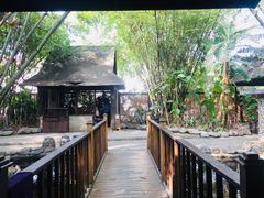 -勐丽梦兰傣味餐厅