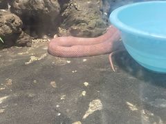 -合肥野生动物园