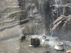 -大青山野生动物园