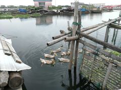 -君豪蟹都·湖景·农家乐(蟹舫苑店)